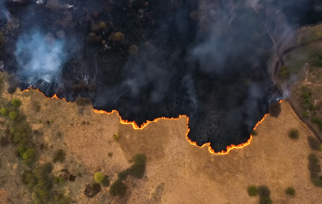 Scaling Wildfire Ecosystem Impact